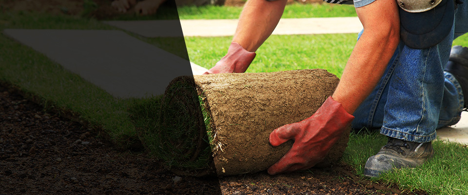 Woodburn Landscapers